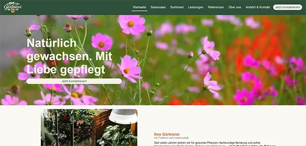 ein Screenshot einer Webseite