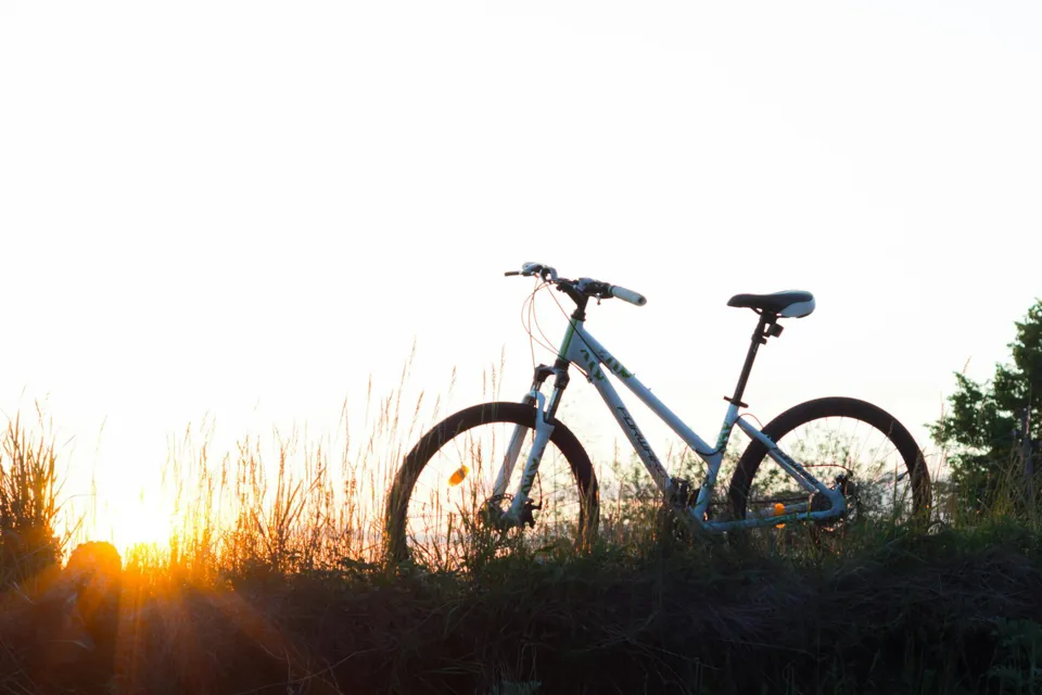 ein Fahrrad im Gras