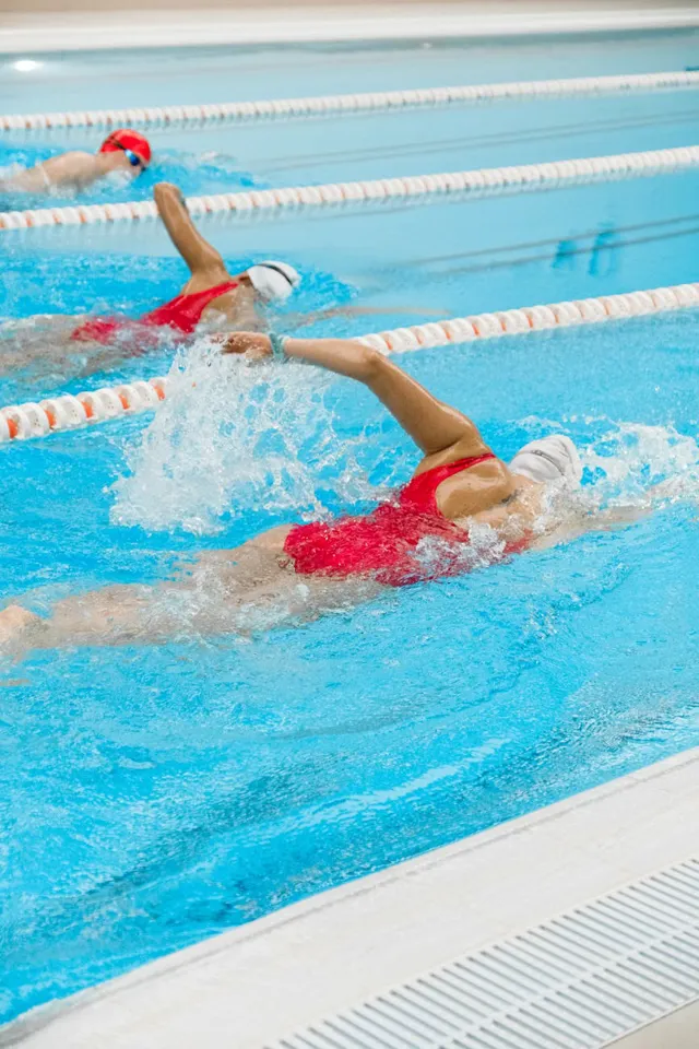 Eine Gruppe von Menschen schwimmt in einem Pool.