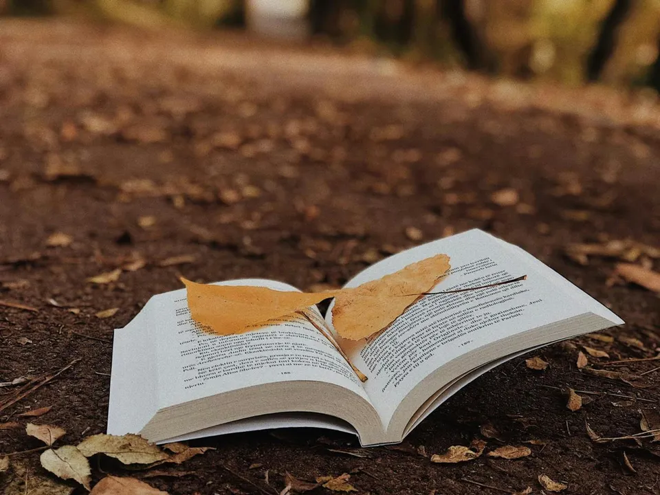 ein Buch mit einem Blatt darauf