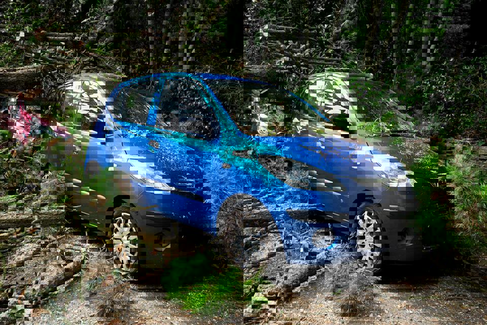 ein blaues Auto mit umgestürztem Baum