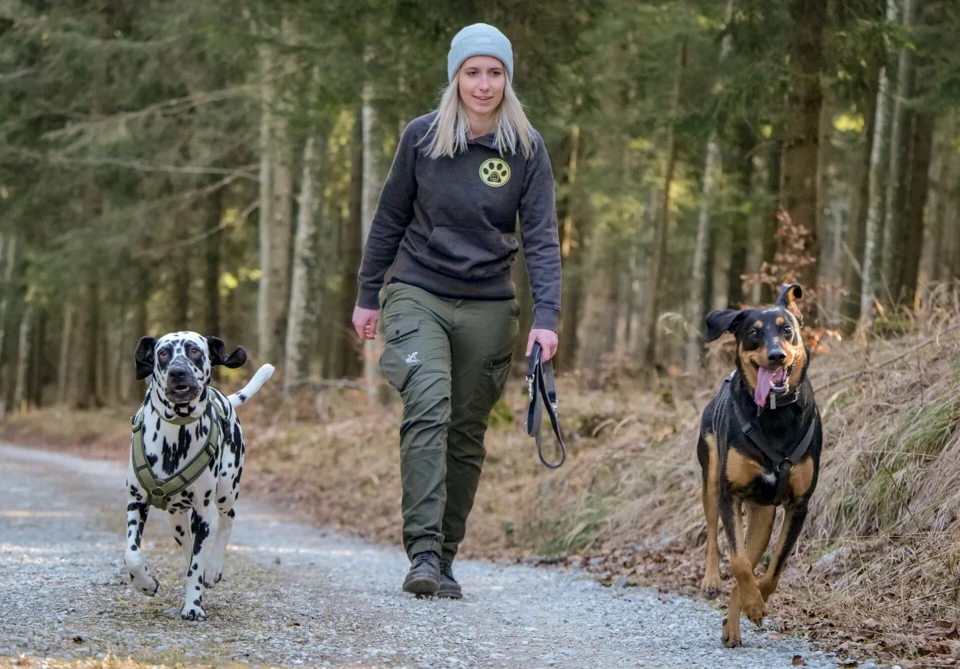 eine Person, die Hunde auf einem Weg spazieren führt