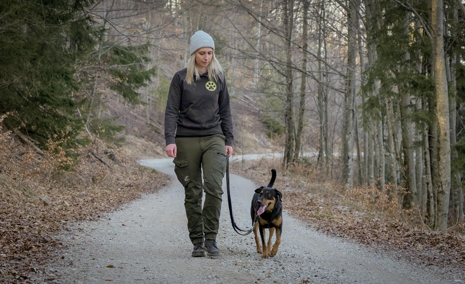 eine Person, die mit einem Hund auf einem Wanderweg spazieren geht