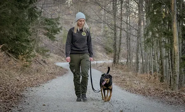 Hundecoach aus Texing spaziert mit einem Hund auf einem Wanderweg