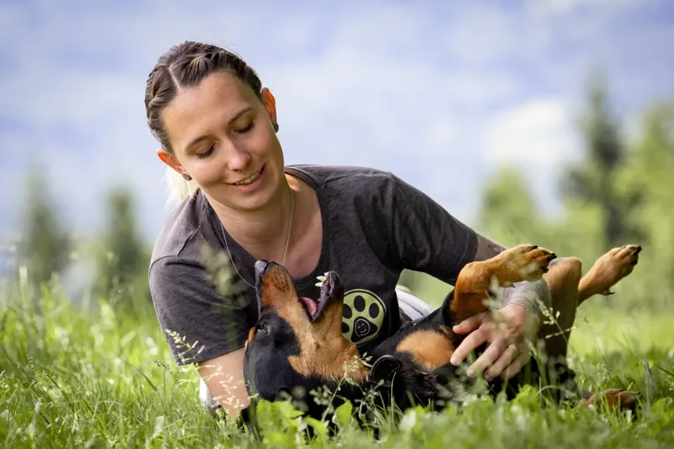 Hundecoach in Texing mit Hund im Gras