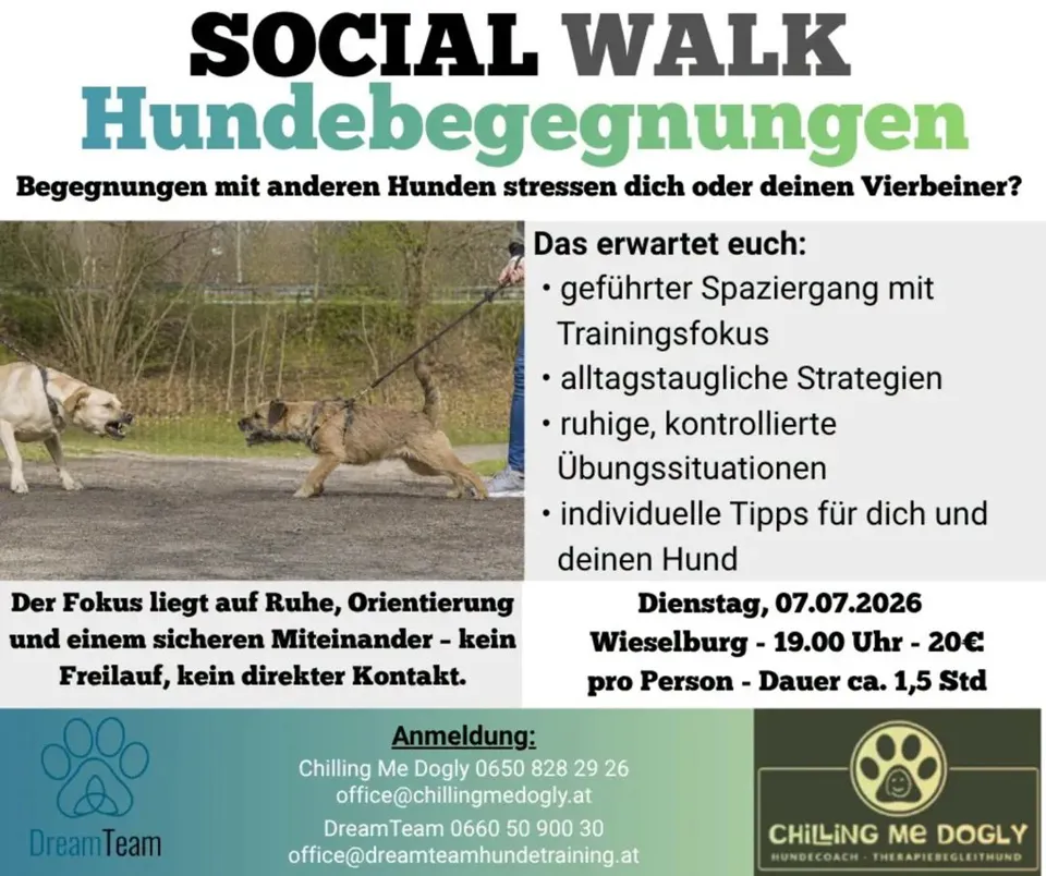 Ein Poster von einem Hund, der an der Leine geht.
