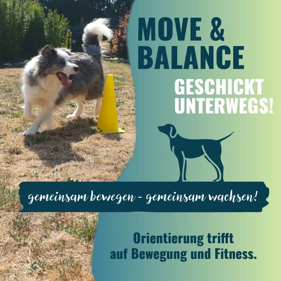 ein Hund, der auf einem Feld steht