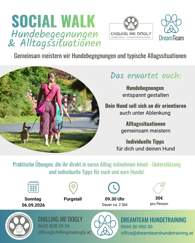 Ein Plakat mit einer Person und einem Hund, die auf Gras spazieren gehen.