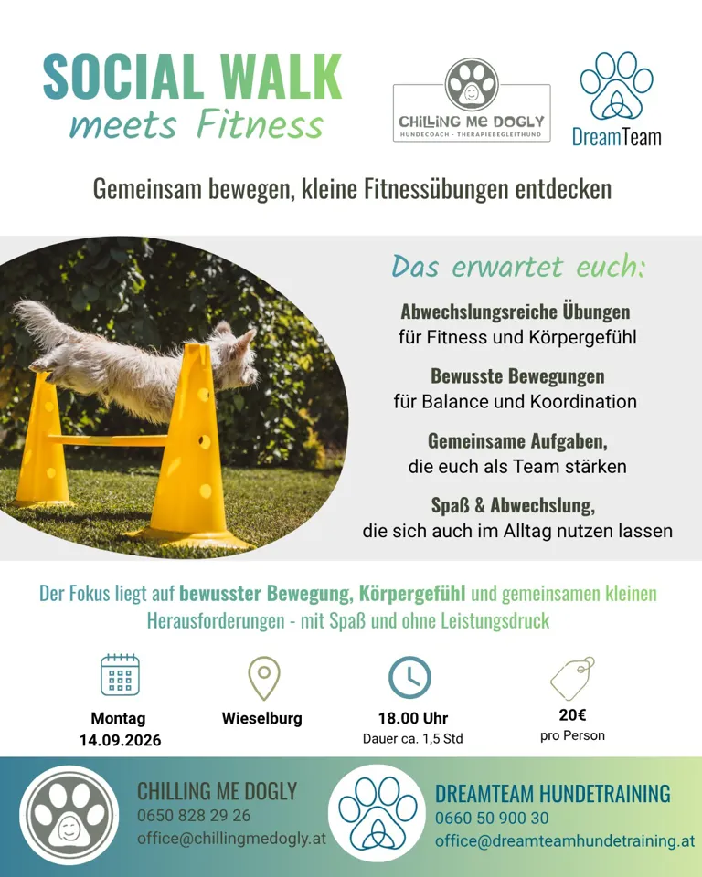 Ein Poster von einem Hund, der auf einem gelben Kegel läuft.
