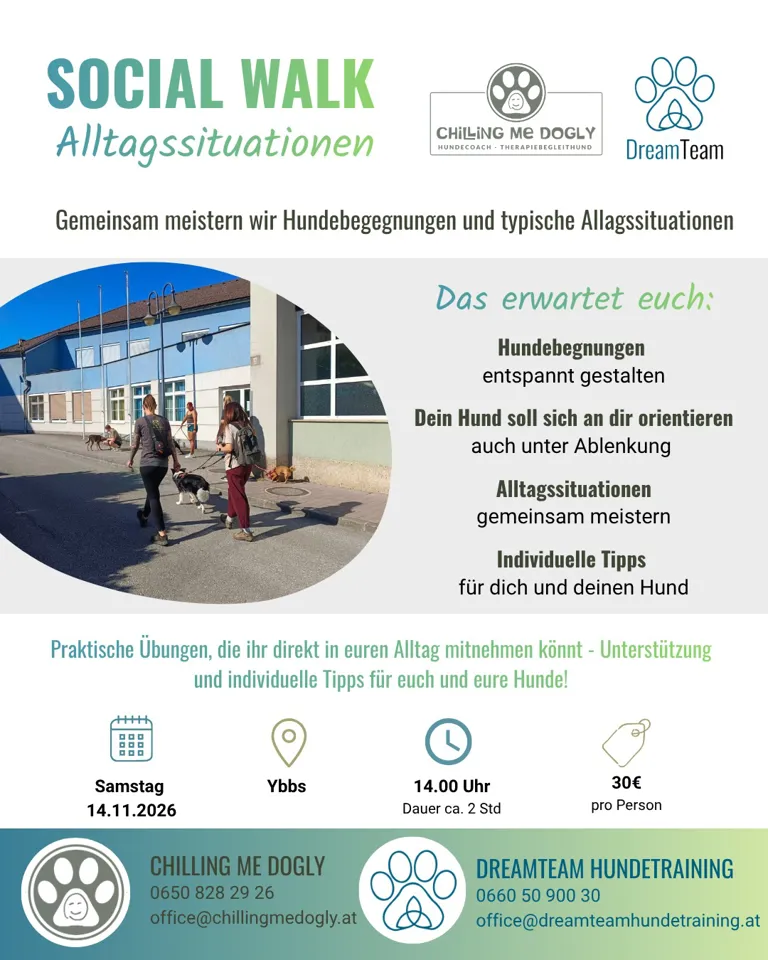 Ein Plakat mit Menschen, die mit Hunden spazieren gehen.
