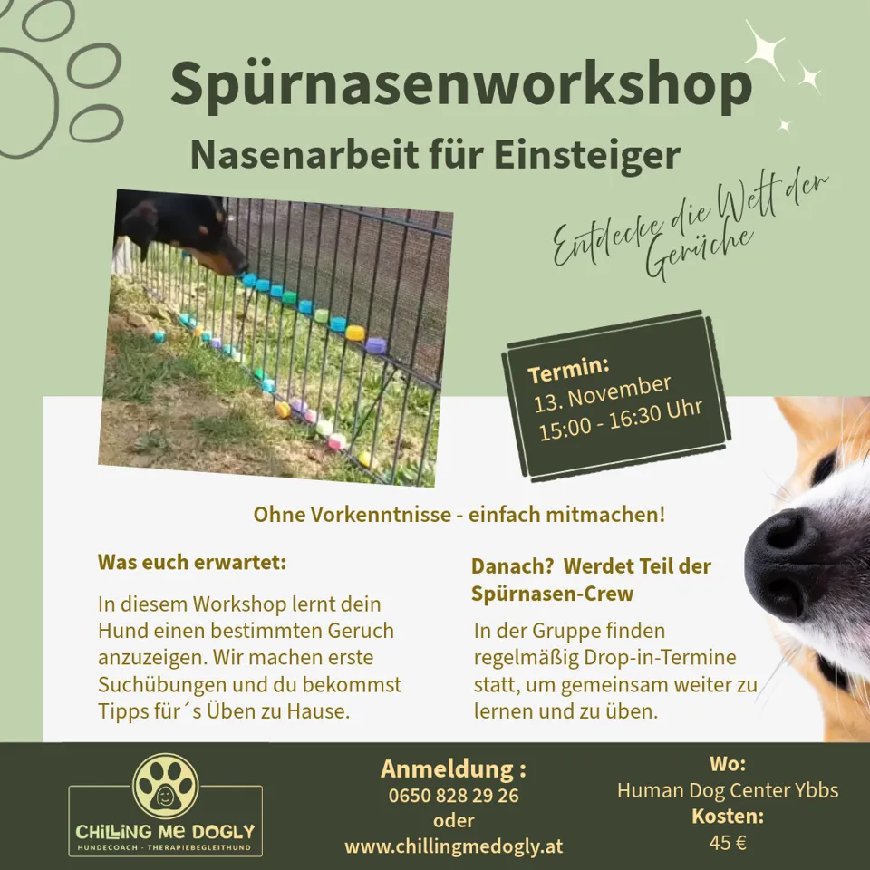 ein Plakat für einen Workshop