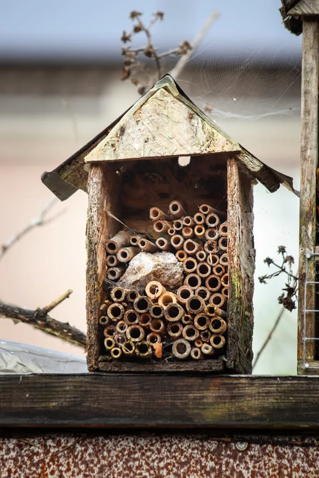 Ein Insektenhotel mit persönlichen Löchern darin.