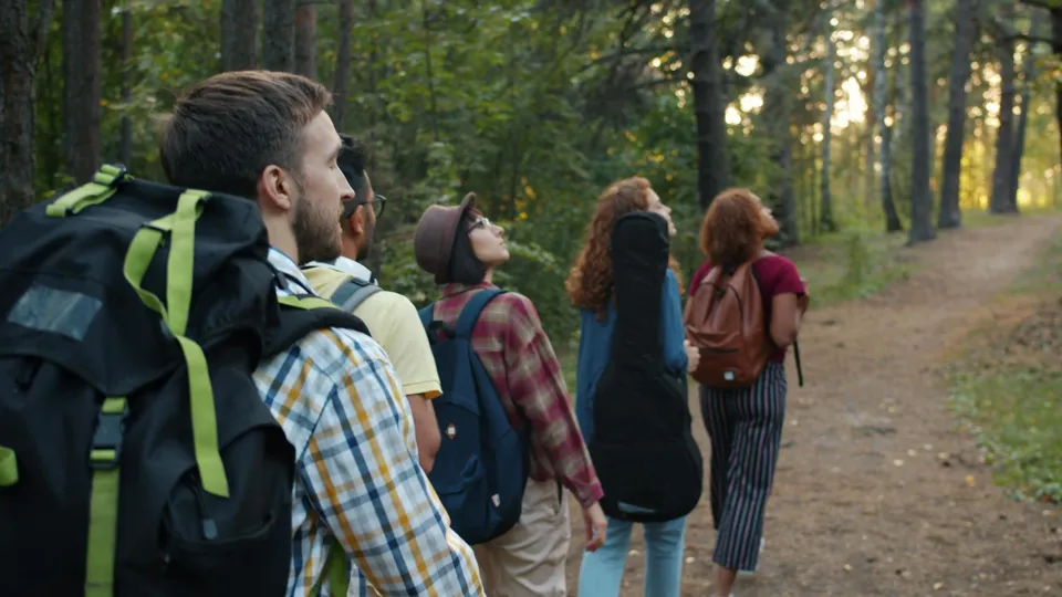 eine Gruppe von Menschen, die im Wald spazieren gehen