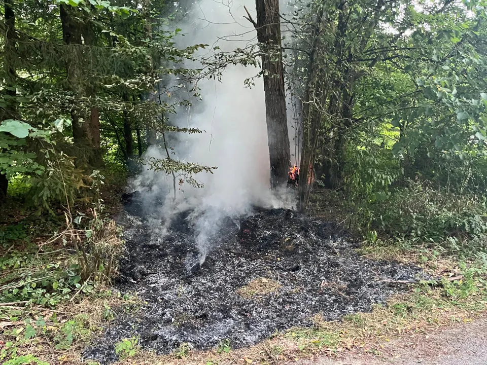 ein Waldbrand mit Rauch
