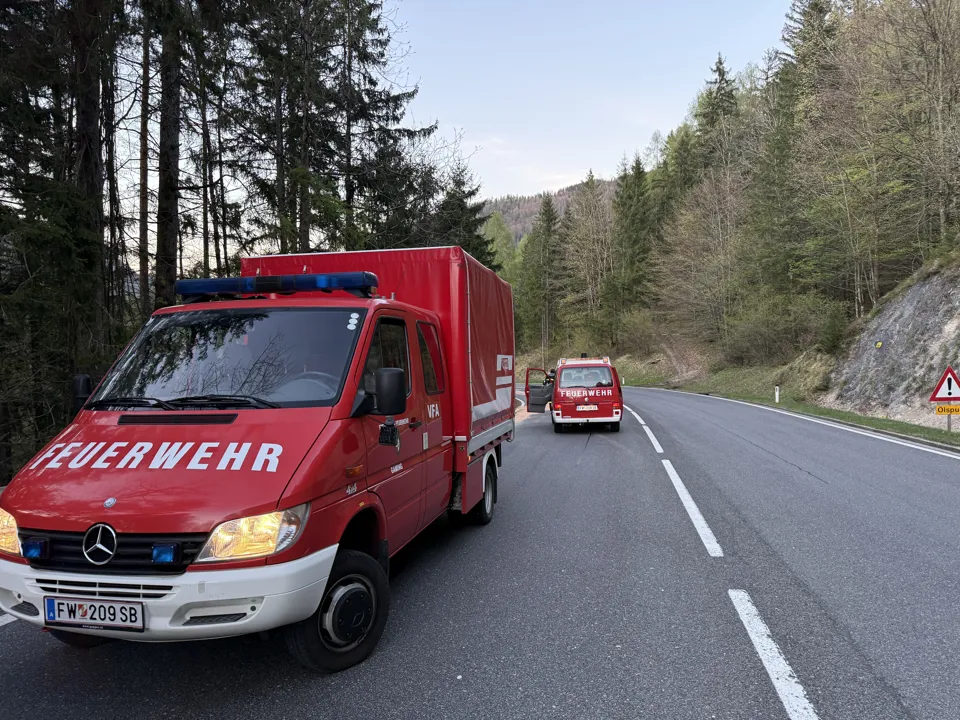 Ein roter Lastwagen auf einer Straße mit Bäumen im Hintergrund.