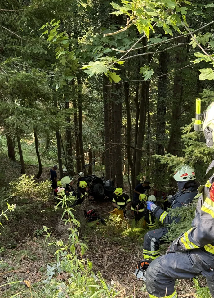 eine Gruppe von Feuerwehrleuten im Wald