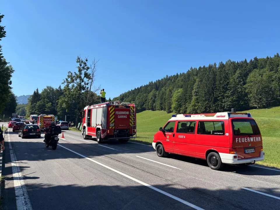 eine Gruppe von Feuerwehrautos auf einer Straße
