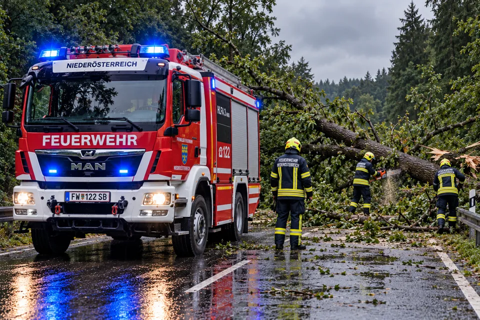 Ein Feuerwehrauto mit einem umgestürzten Baum.
