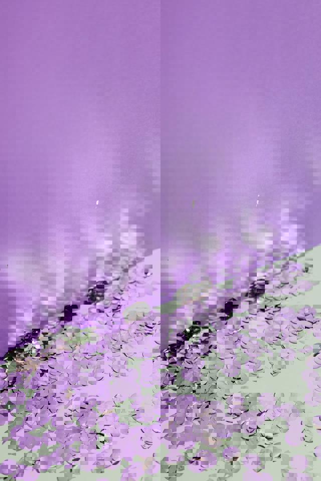 lila Konfetti auf einer lila Oberfläche