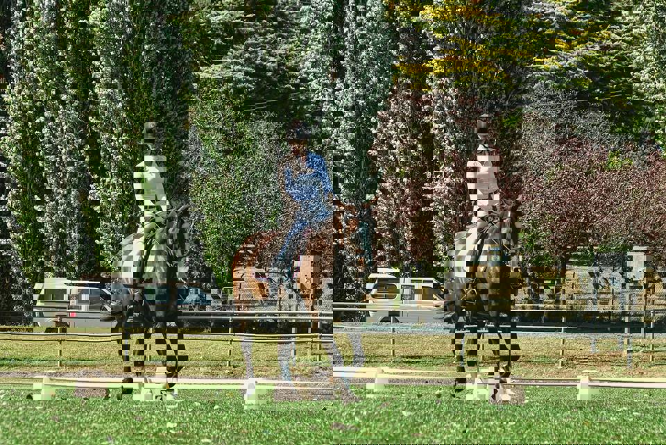 eine Person, die ein Pferd reitet