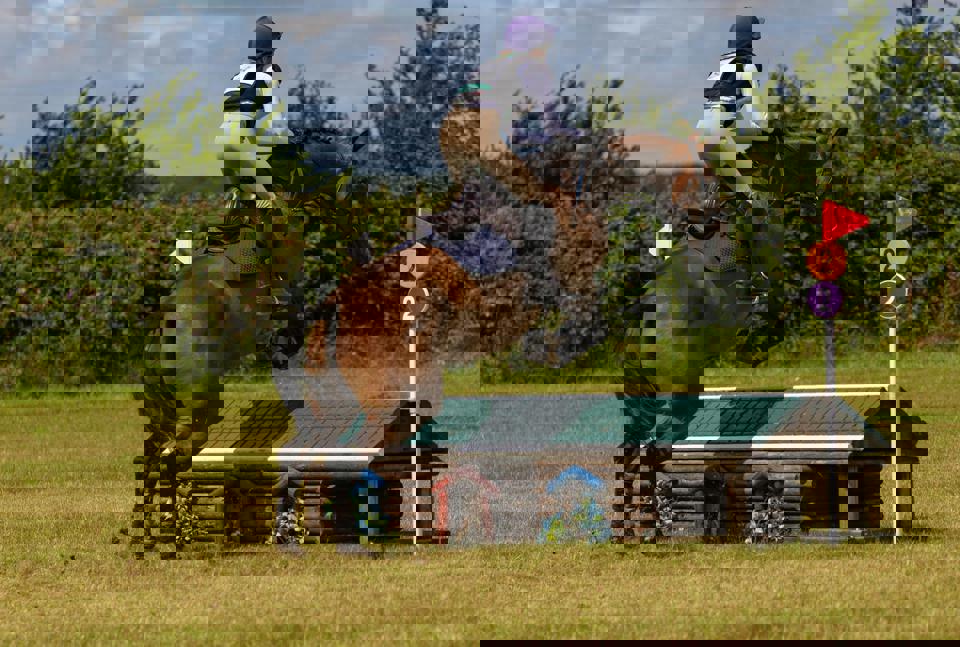 eine Person auf einem Pferd, die über ein Hindernis springt