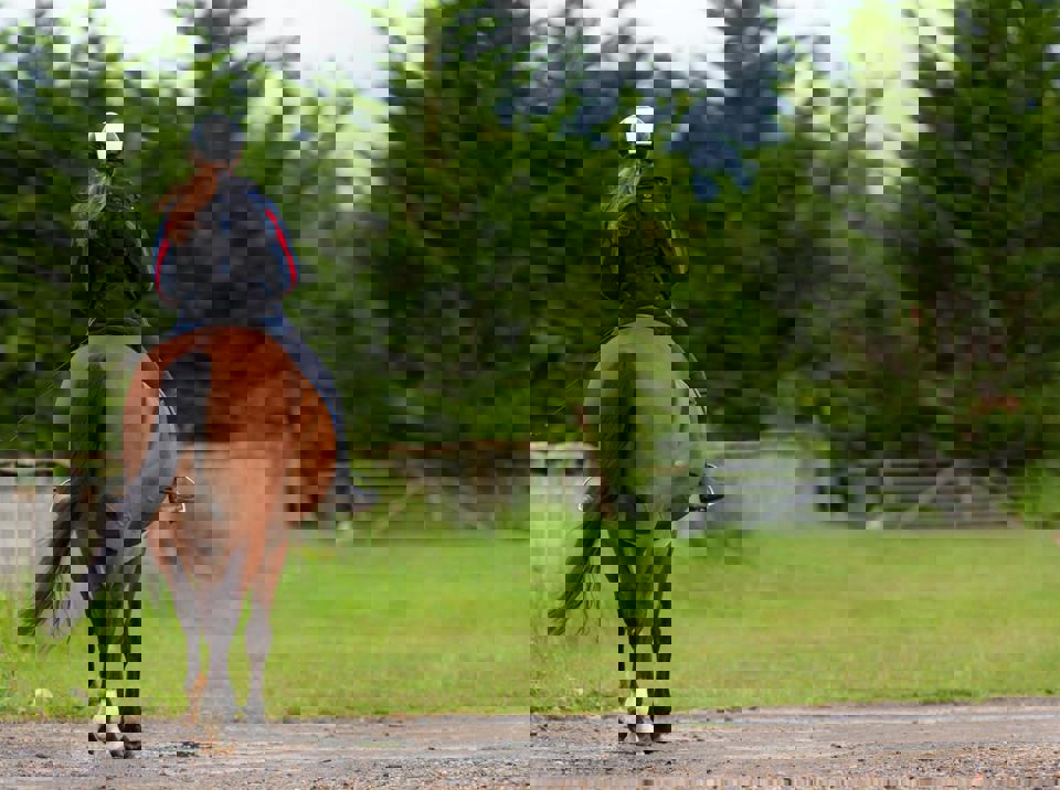 eine Person, die ein Pferd reitet