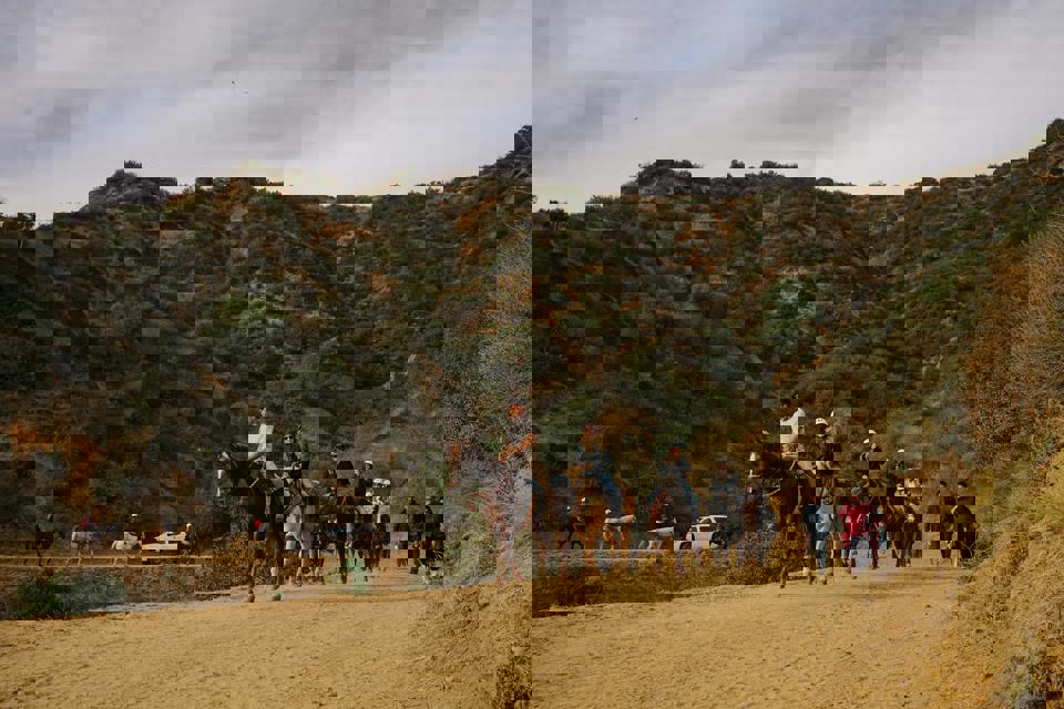 Eine Gruppe von Menschen reitet auf Pferden auf einem unbefestigten Weg.