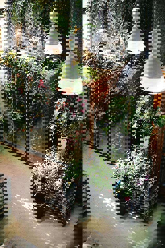 Pflanzen in einem Blumenladen