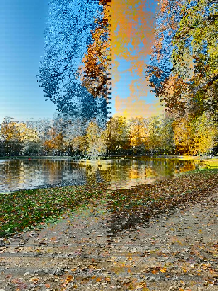 ein See mit Bäumen und Gras